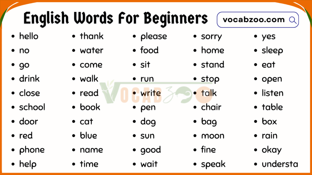100 Daily Use English Words for Beginners Level