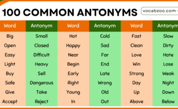 100 Most Common Antonyms in English with Their Examples