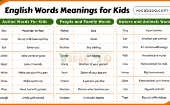 100 Simple English Words Meanings for Kids