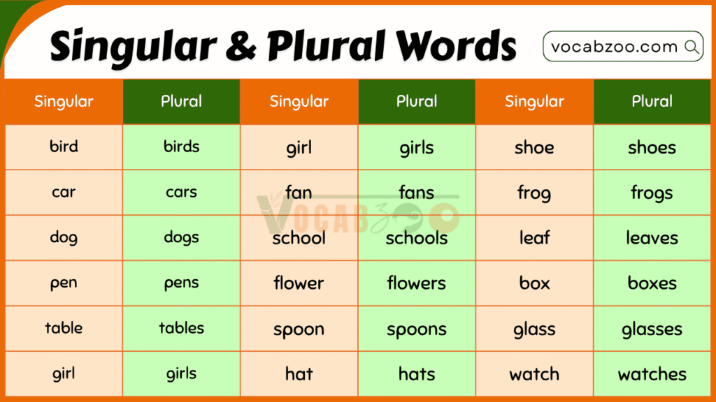 100 Singular and Plural Nouns for Kids in English - Vocabzoo