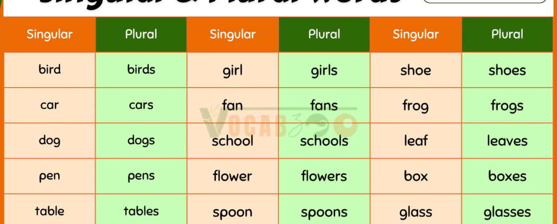 100 Singular and Plural Nouns for Kids