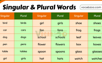 100 Singular and Plural Nouns for Kids