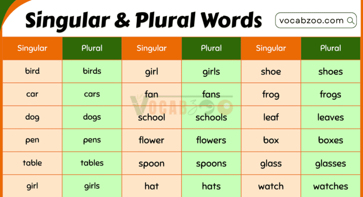 100 Singular and Plural Nouns for Kids