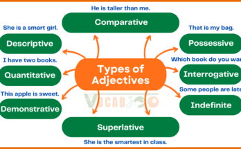 What is an Adjective? Types and Easy Examples