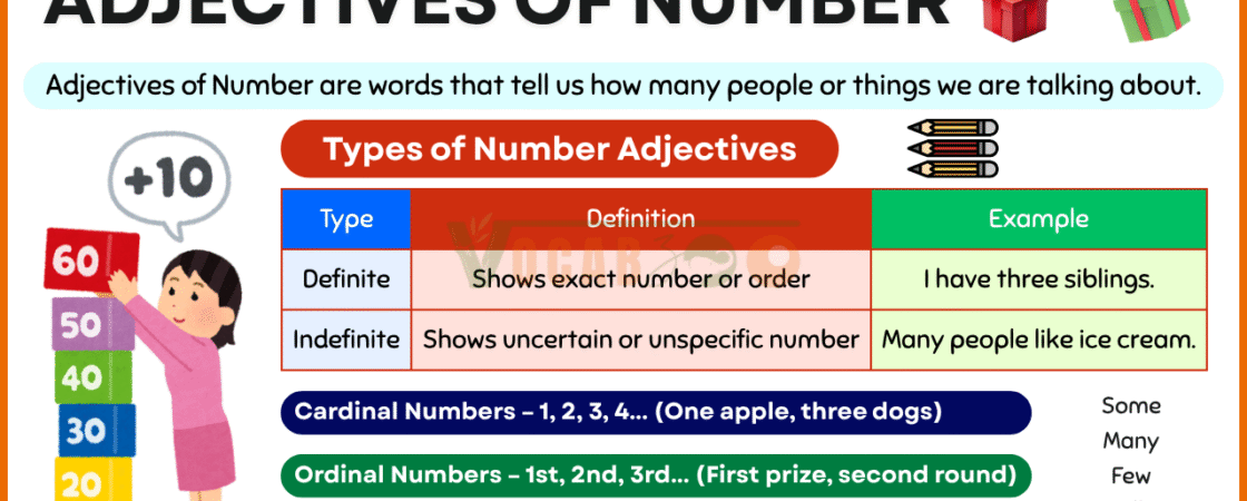 Adjectives of Number – Definite and Indefinite Explained