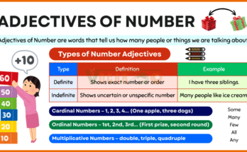Adjectives of Number – Definite and Indefinite Explained
