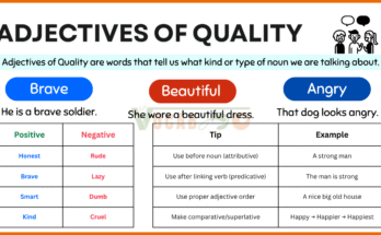 Adjectives of Quality with Example Sentences