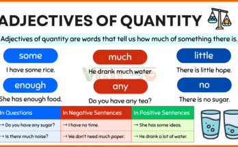 Adjectives of Quantity Explained with Examples