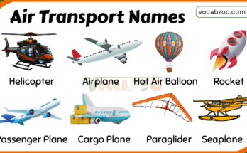 40 Air Transport Names List in English with Pictures