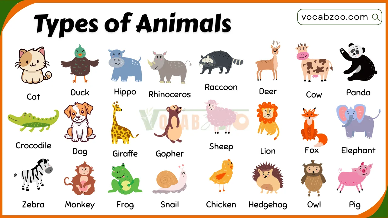 Types of Animals and Their Names in English with Pictures