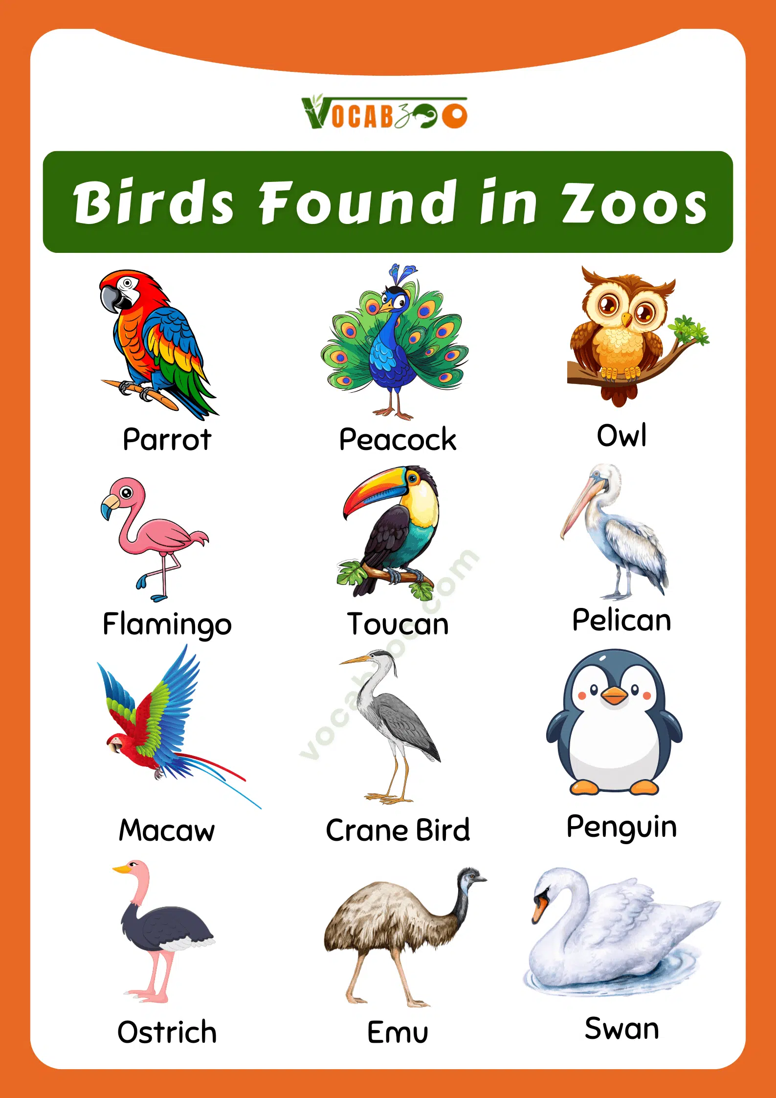Birds Found in The Zoo with Pictures