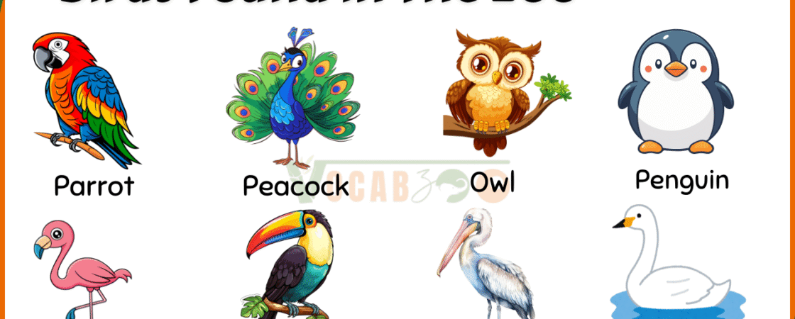 30 Names of Birds Found in the Zoo with Pictures