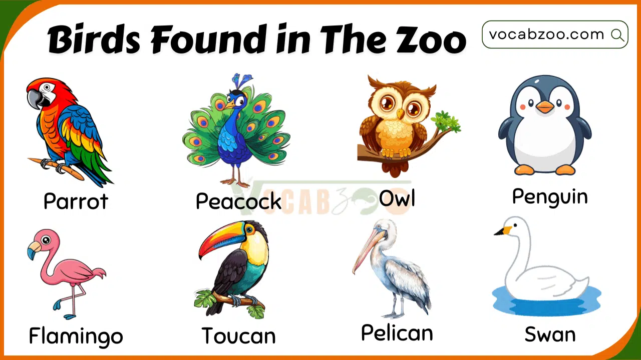 30 Names of Birds Found in the Zoo with Pictures