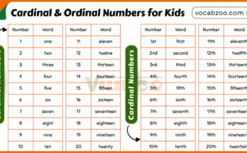 Cardinal and Ordinal Numbers for Kids