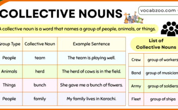 Collective Nouns Explained with Examples