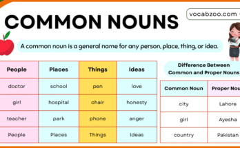 Common Nouns in English with Examples