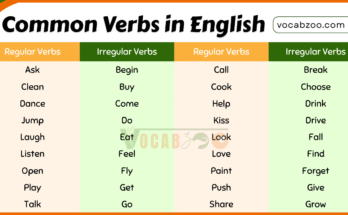 50 Common Verbs in English Grammar with Meanings & Examples