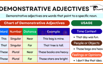 Demonstrative Adjectives with Examples