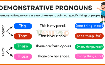 Demonstrative Pronouns