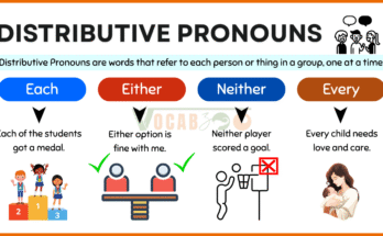 Distributive Pronouns Definition, Usage, and Examples