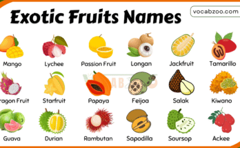 30 Names of Exotic Fruits with Pictures in English