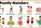 Family Members Vocabulary for Kids​ in English with Pictures
