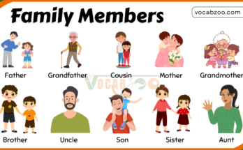 Family Members Vocabulary for Kids​ in English with Pictures