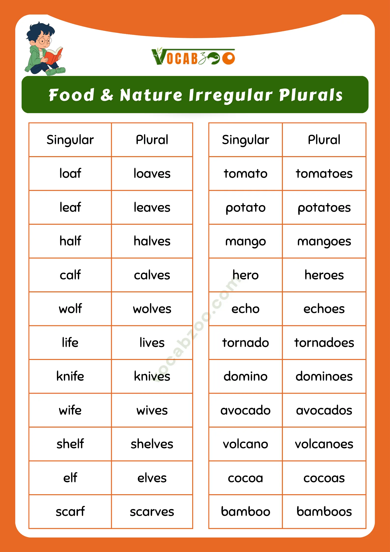 200 Irregular Plurals in English with Meanings