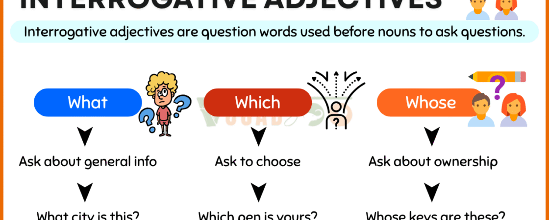 Interrogative Adjectives – What, Which, Whose with Examples