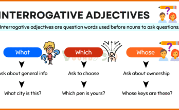 Interrogative Adjectives – What, Which, Whose with Examples