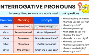 Interrogative Pronouns Definition and Examples