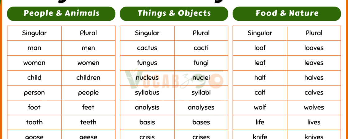 200 Irregular Plurals in English with Meanings