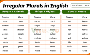 200 Irregular Plurals in English with Meanings