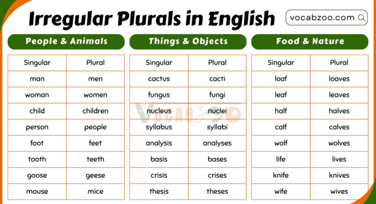 200 Irregular Plurals in English with Meanings