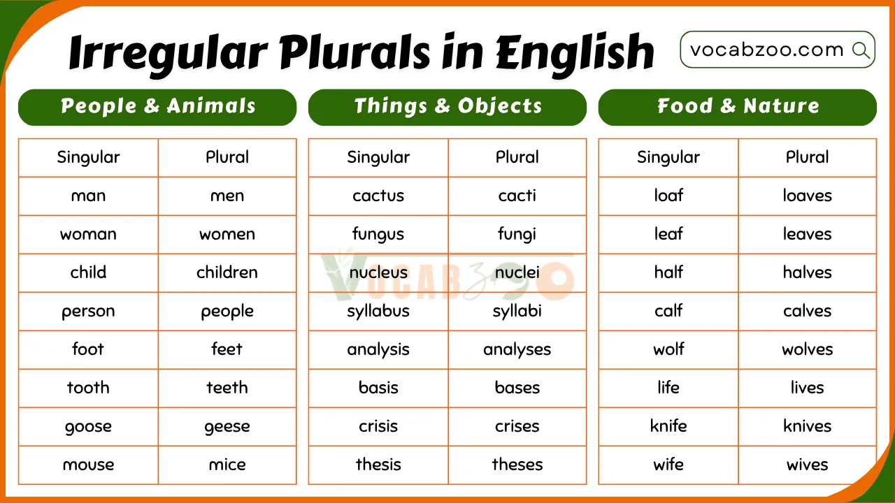 200 Irregular Plurals in English with Meanings