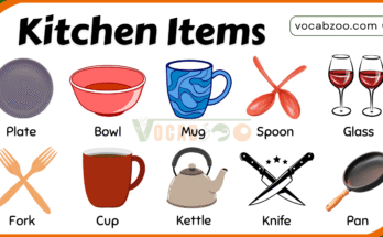 50 kitchen Items Name with Pictures and Use in English