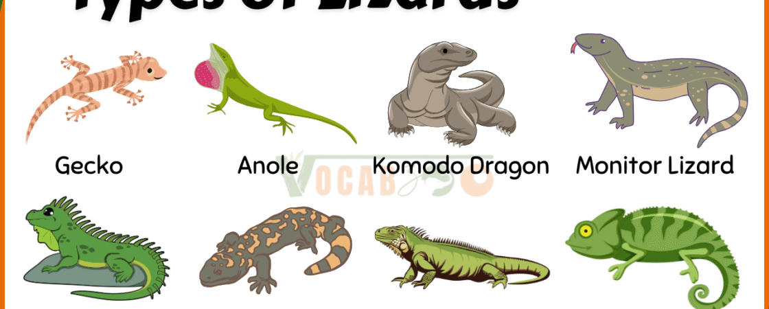 20 Different Types of Lizards in the Reptile Family with Pictures