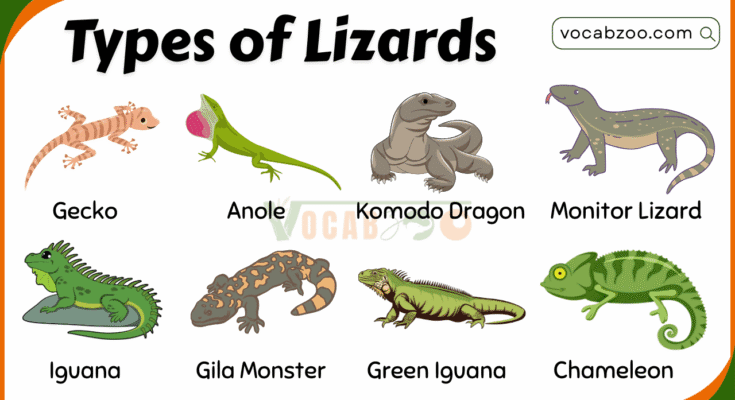 20 Different Types of Lizards in the Reptile Family with Pictures