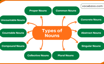 Noun Definition, Usage, Types, and Examples