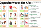 Opposite Words for Kids with Easy Examples