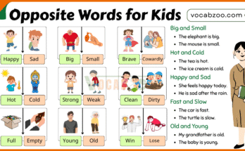 Opposite Words for Kids with Easy Examples