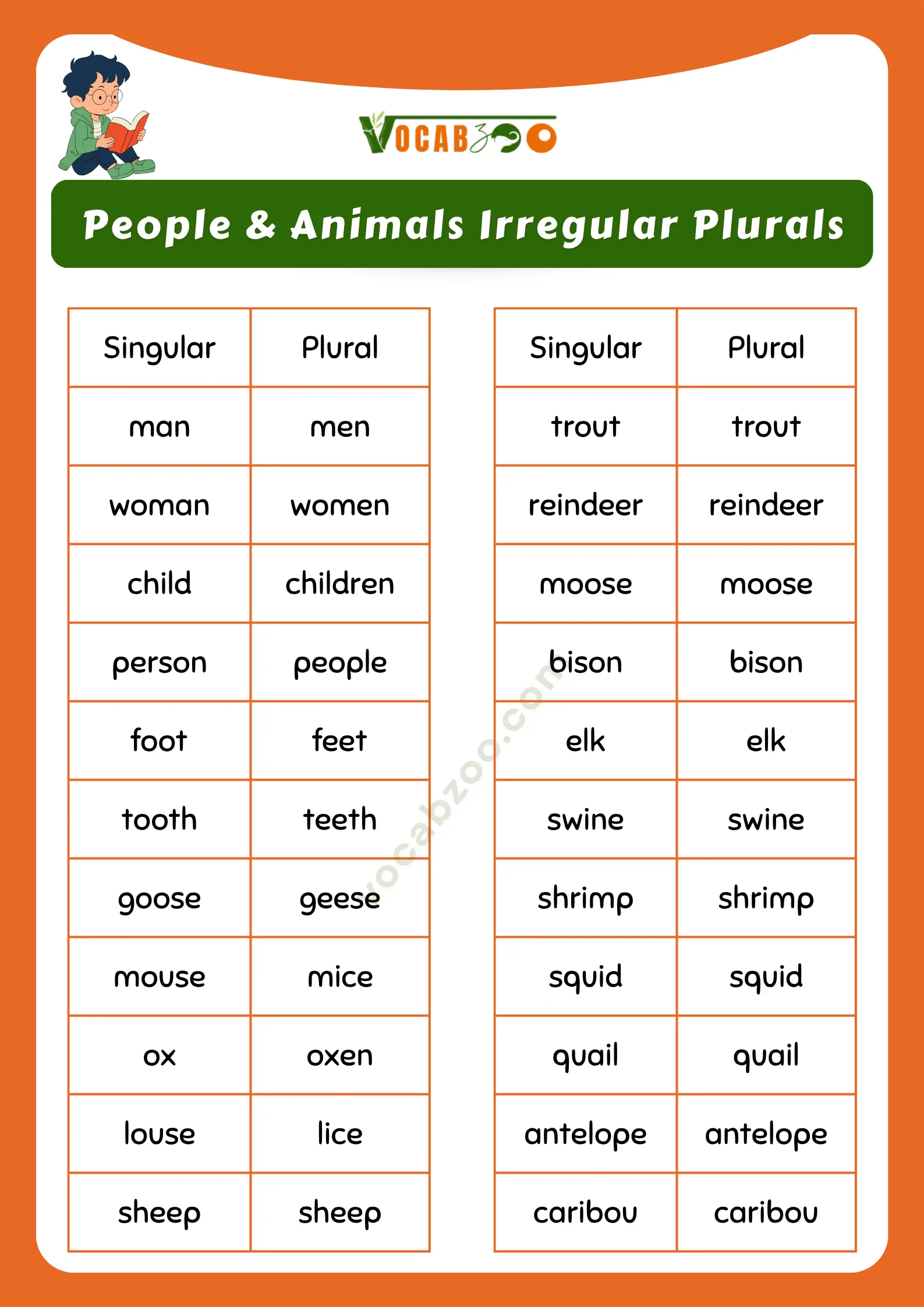 200 Irregular Plurals in English with Meanings