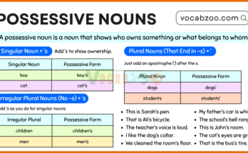 Possessive Nouns | How to Make Possessive Nouns