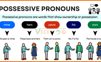 Possessive Pronouns Definition, Usage, and Examples