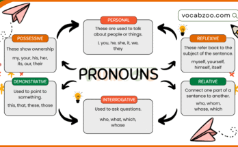What is a Pronoun? Types and Examples for Beginners