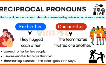 Reciprocal Pronouns Explained with Examples