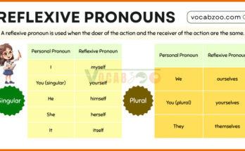 Reflexive Pronouns Explained with Examples