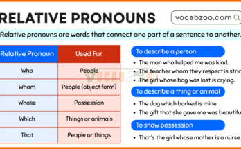 Relative Pronouns in English with Examples