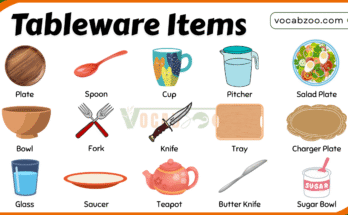 30 Common Types of Tableware Names and Pictures