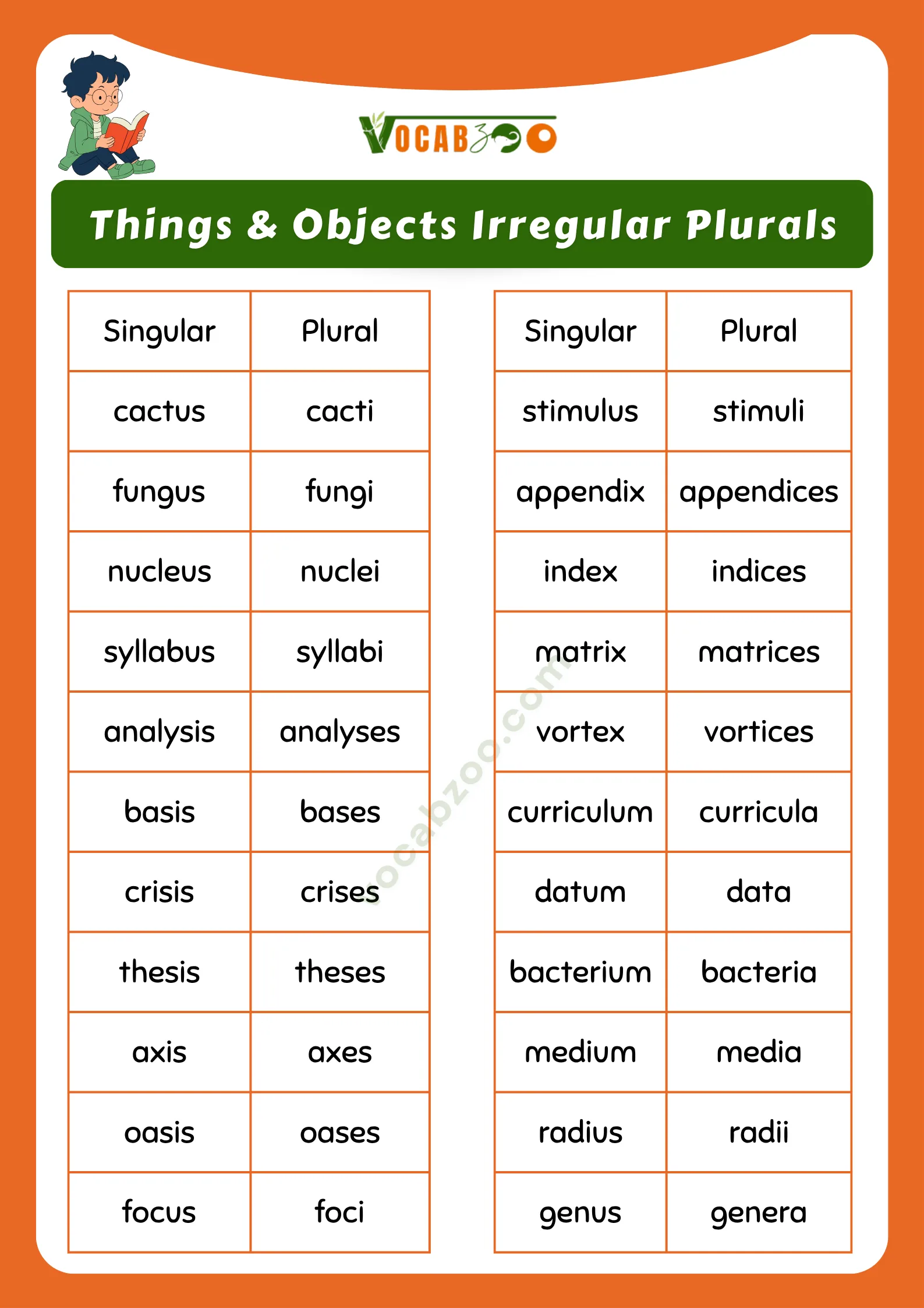 200 Irregular Plurals in English with Meanings
